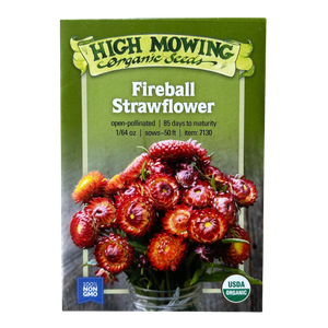 Fireball Strawflower Seeds - 1/64oz