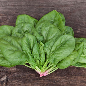 Butterflay Spinach Seeds - 1/4oz