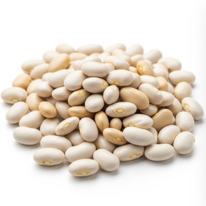 Bulk Dried Organic Great Northern Beans - 1lb
