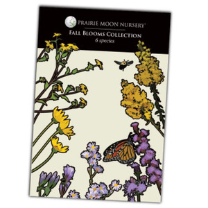 Fall Blooms Seed Collection - 6pk