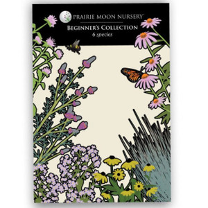 Beginners Seed Collection - 6pk