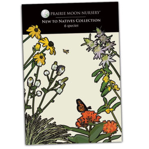 New to Natives Seed Collection - 6pk