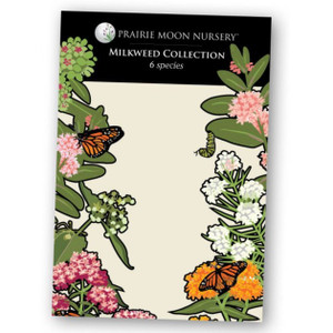 Milkweed Seed Collection - 6pk
