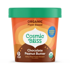 Chocolate Peanut Butter Ice Cream - 14 fl oz