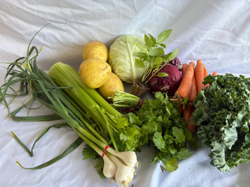 Produce CSA Guide
