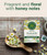 Chamomile Tea - 16pk