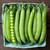 Shelling Pea Seeds - 1 OZ