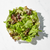 Spring Mix- Revol Greens - avg 0.31lb
