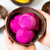 Dragonfruit Sorbet - 16oz