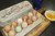 Dozen Eggs -- Regular