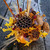 Decorative Fall Centerpiece