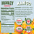 Mango Energy Drink - 12 fl oz