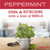Peppermint Scented Hand Soap - 12.5 fl oz