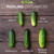 National Pickling Cucumber - 1/16oz