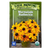 Marmalade Rudbeckia - 50 SEEDS