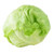Iceberg Lettuce - 1 Head