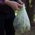 3 Gallon Food Scraps Bag - 25 ct