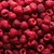 Fresh Raspberries