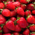 Organic and Delicious Strawberries