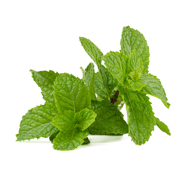 Mint