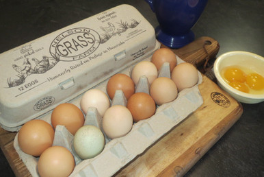 Dozen Eggs - Regular