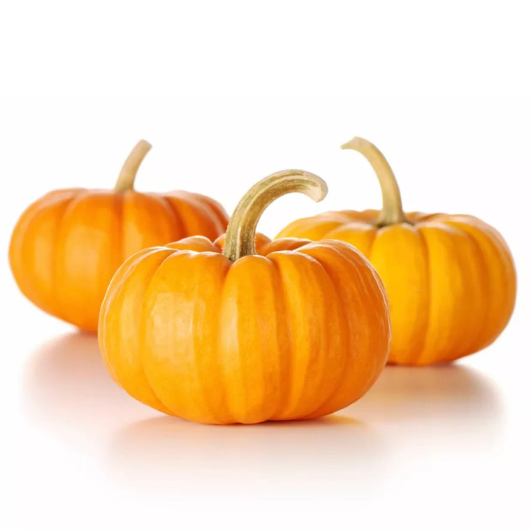 Decorative Orange Mini Pumpkins - qty 6