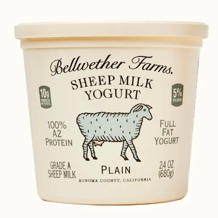 Sheep Milk Yogurt Plain - 16oz