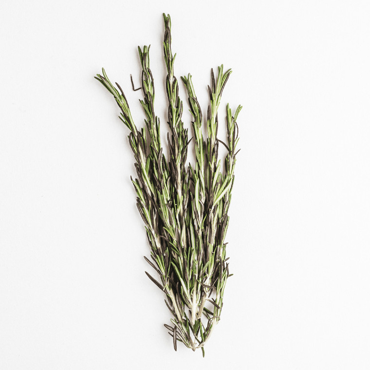 Sprig of Rosemary