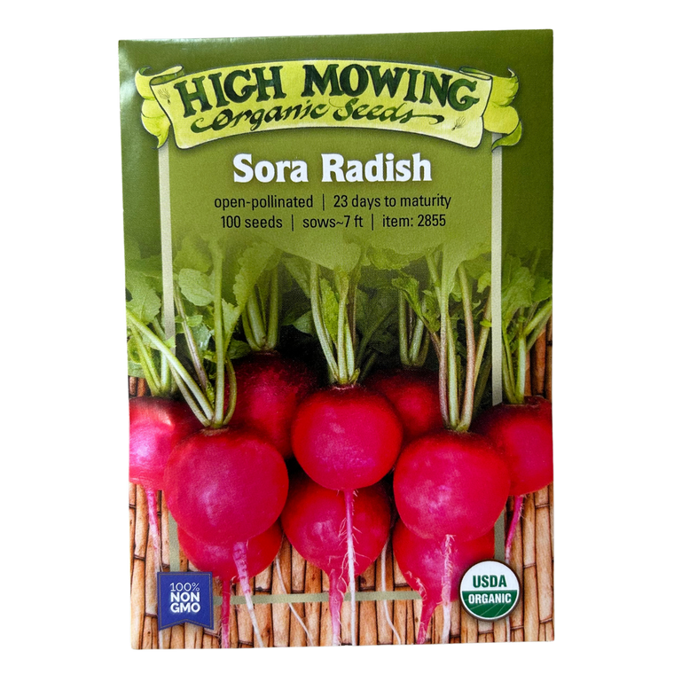 Sora Radish - 100 SEEDS