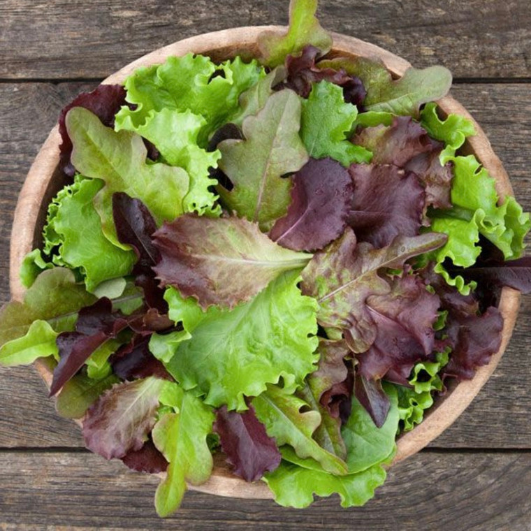 DMR Salad Blend - 500 Seeds