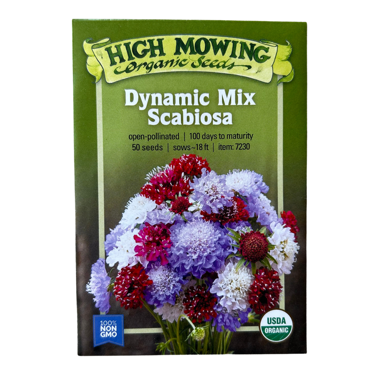 Dynamic Mix Scabiosa- 50 SEEDS