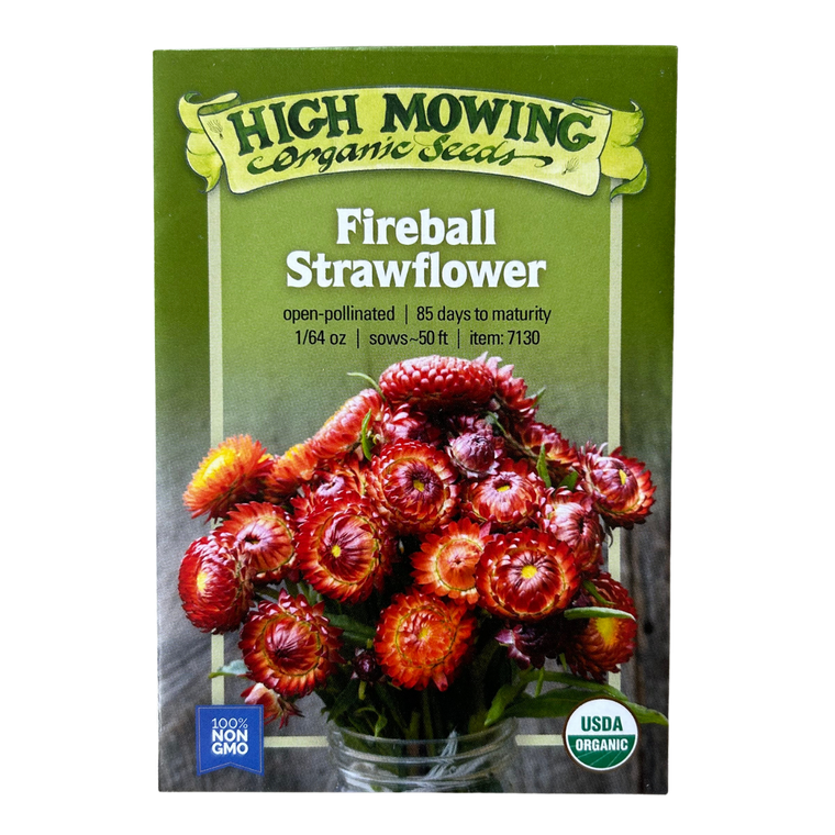 Fireball Strawflower Seeds - 1/64oz