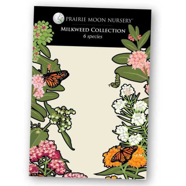 Milkweed Seed Collection - 6pk