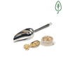 Stainless Steel Scoop 8in 6oz 200ml - SCOSS6