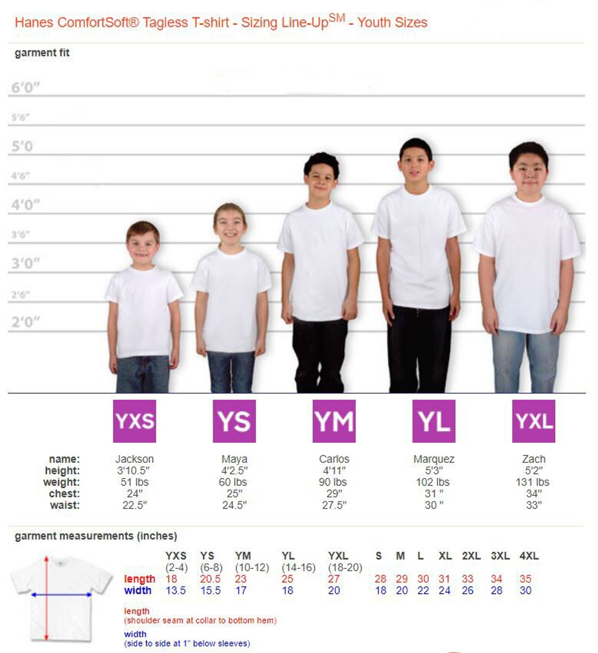 Hanes Tagless Tee Size Chart