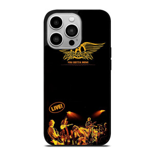 AEROSMITH LIVE iPhone 14 Pro Case Cover