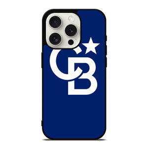 COLDWELL BANKER LOGO iPhone 15 Pro Case Cover