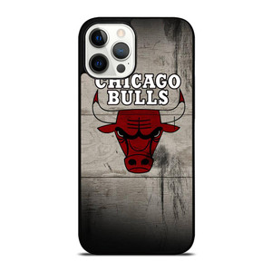 CHICAGO BULLS 2 iPhone 12 Pro Max Case Cover
