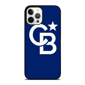 COLDWELL BANKER LOGO iPhone 12 Pro Max Case Cover COLDWELL BANKER LOGO iPhone 12 Pro Max Case Cover
