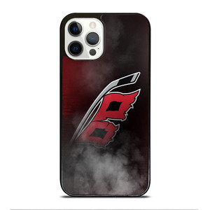 CAROLINA HURRICANES HOCKEY LOGO iPhone 12 Pro Case Cover CAROLINA HURRICANES HOCKEY LOGO iPhone 12 Pro Case Cover