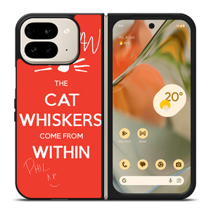 DAN AND PHIL THE WHISKERS 1 Google Pixel 9 Pro Fold Case Cover