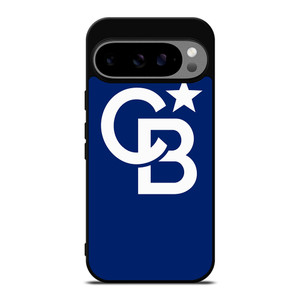 COLDWELL BANKER LOGO Google Pixel 9 Pro XL Case Cover