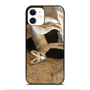 FOX VULPES iPhone 12 Case Cover