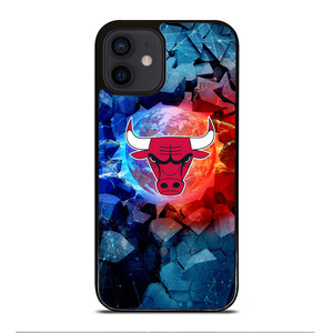 CHICAGO BULLS PRIDE iPhone 12 Mini Case Cover