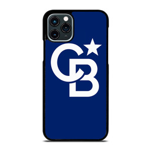COLDWELL BANKER LOGO iPhone 11 Pro Case Cover COLDWELL BANKER LOGO iPhone 11 Pro Case Cover