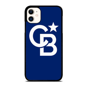 COLDWELL BANKER LOGO iPhone 11 Case Cover COLDWELL BANKER LOGO iPhone 11 Case Cover