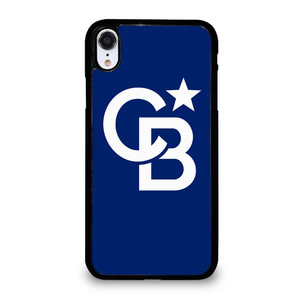 COLDWELL BANKER LOGO iPhone XR Case Cover