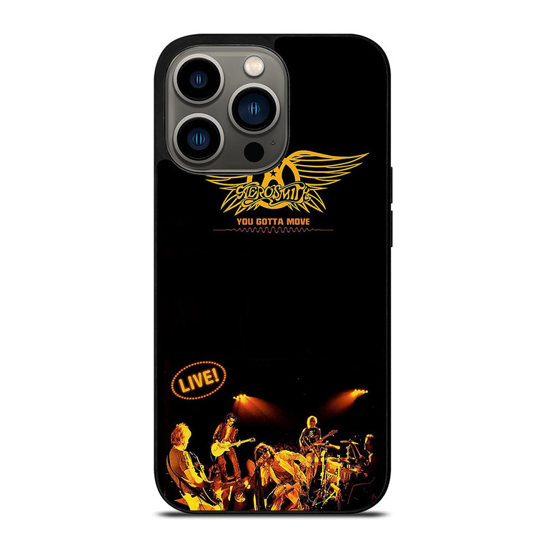 AEROSMITH LIVE iPhone 13 Pro Case Cover