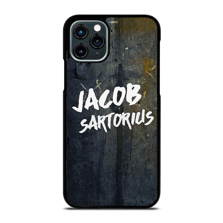 JACOB SARTORIUS iPhone 11 Pro Case Cover