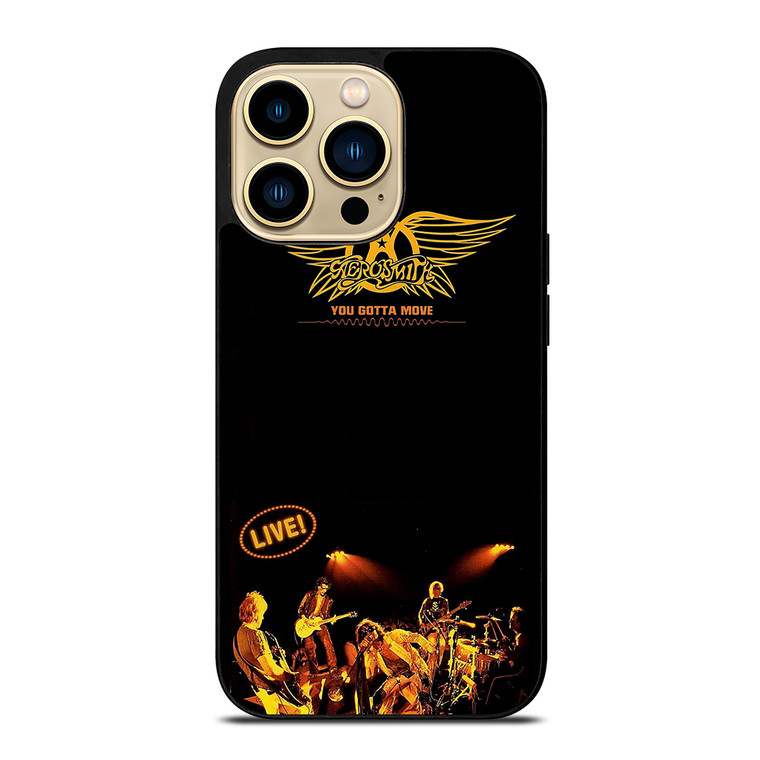AEROSMITH LIVE iPhone 14 Pro Max Case Cover